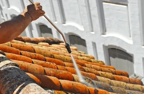 Nettoyage de toitures - Saint-Denis-sur-Loire